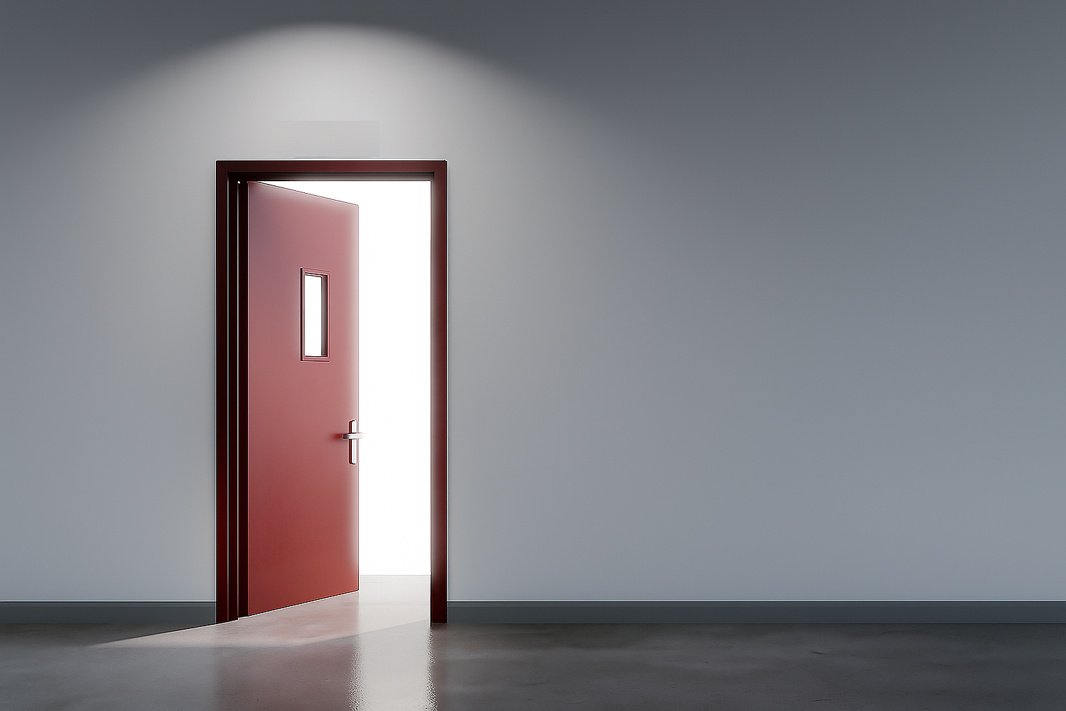 FIRE DOOR